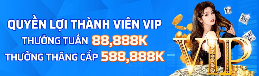 Quản Lý Vốn C167 – Chiến Lược Bảo Vệ Tài Chính