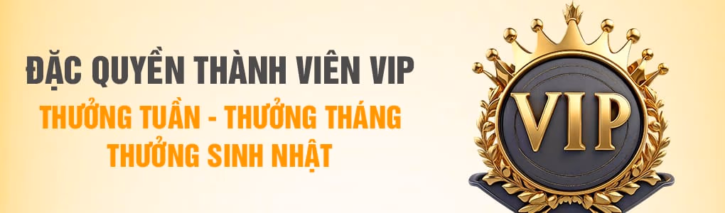 Hướng Dẫn Chọn Súng Bắn Cá C167 Theo Ngân Sách